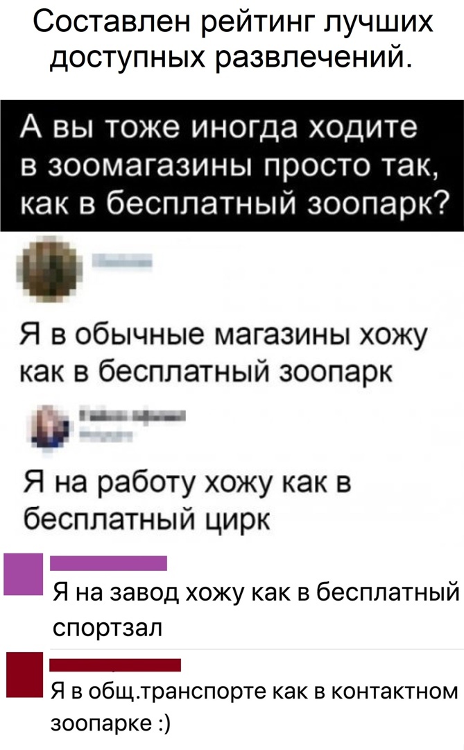 Составлен рейтинг лучших доступных развлечений А ВЫ тоже ИНОГДЭ ходите в зоомагазины просто так как в бесплатный зоопарк Я в обычные магазины хожу как в бесплатный зоопарк Я на работу хожу как в бесплатный цирк _ Я на завод хожу как в бесплатный спортзал _ Я В общтранспорте как В КОНТЭКТНОМ зоопарке