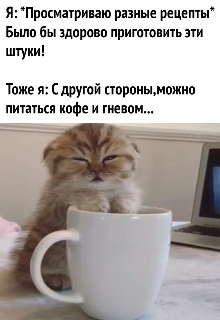 Я Просматриваю разные рецепты Было бы здорово приготовить эти штуки Тоже я С другой сторонььможно питаться кофе и гневом