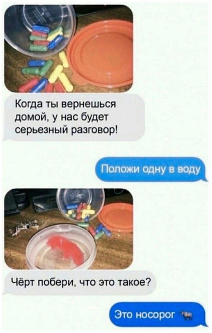 Когда ты вернешься домой у нас будет серьезный разговор Положи одну в воду Чёрт побери что это такое Это носорот ч