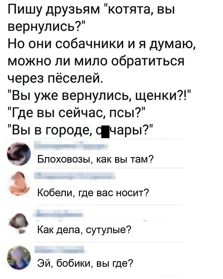 Пишу друзьям котята вы вернулись Но они собачники и я думаю можно ли мило обратиться через пёселей Вы уже вернулись щенки Где вы сейчас псы Вы в городе счары Блоховозы как вы там Кобели где вас носит О Как дела сутупые Эй бобики вы где