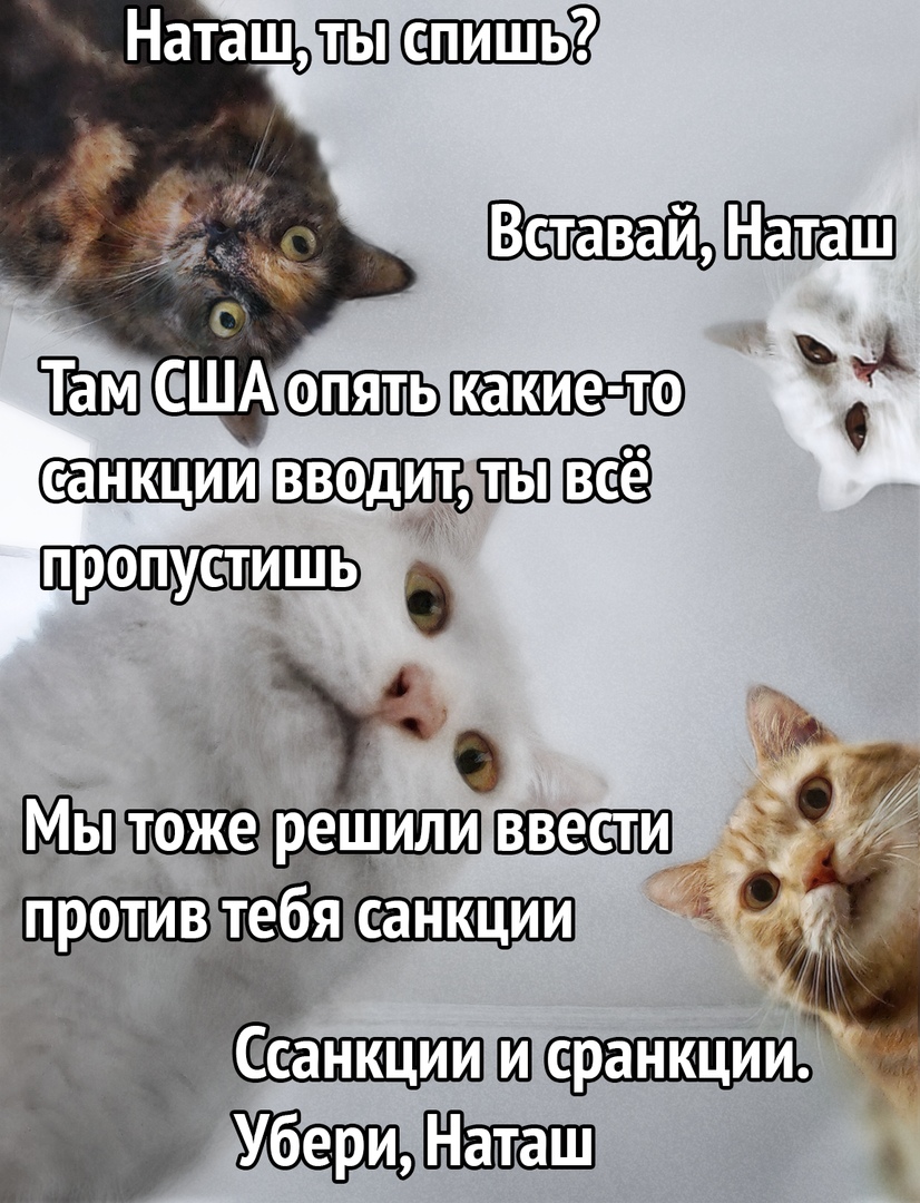 ж Мреил ш