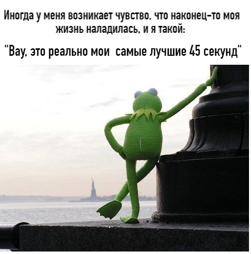 Иногда у МЕНЯ ВПЗНИКЗЕТ ЧУВСТВИ ЧТО наконец тп МПЯ ЖИЗНЬ наладилась И Я такой Вау это реально мои самые лучшие 15 секунд