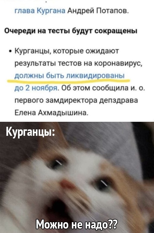глава Кургана Андрей Потапов Очереди на тесты будут сокращены Курганцы которые ожидают результаты тестов на коронавирус должны быть ликвидированы до 2 ноября Об этом сообщила и о первого замдиректора депздрава Елена Ахмадышина Курганцы а Можно не надо