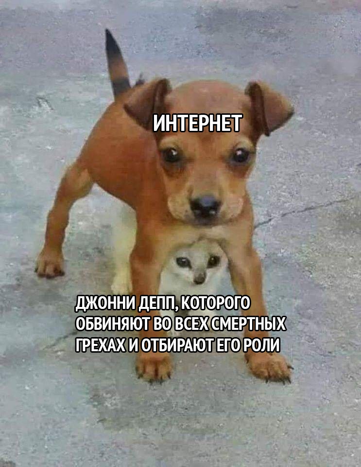 ИНТЕРНЁТ ДЖОННИ ДЕПП К0Т0Р0Г0