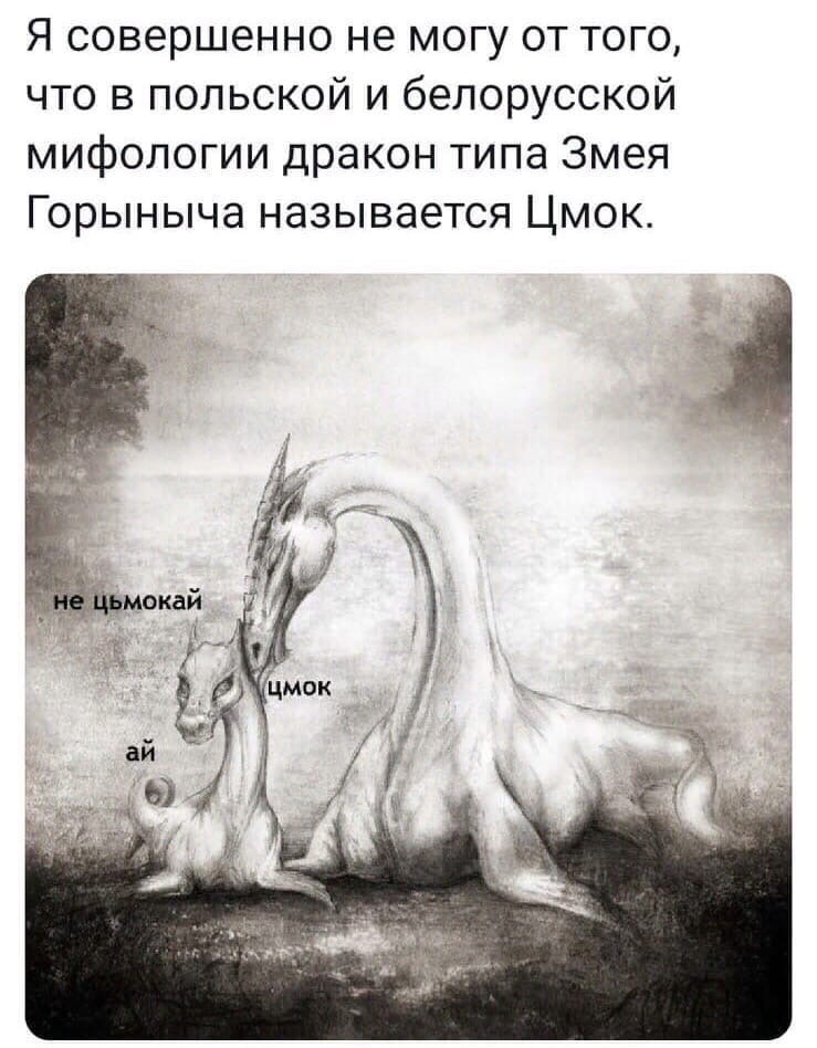 Я совершенно не могу от того что в польской и белорусской мифологии дракон типа Змея Горыныча называется Цмок