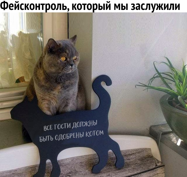 Фейсконтроль который мы заслужили 74