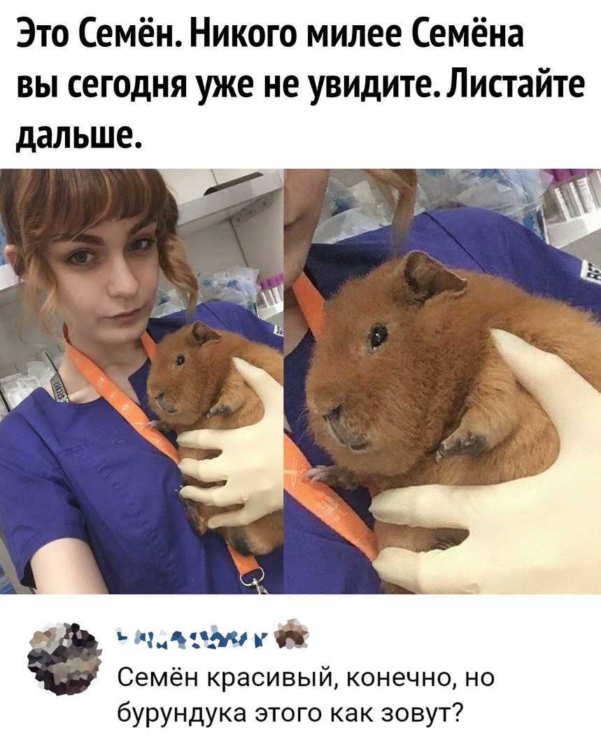 Это Семён Никого милее Семёна вы сегодня уже не увидите Листайте дальше плаМ Семён красивый конечно но бурундука этого как зовут