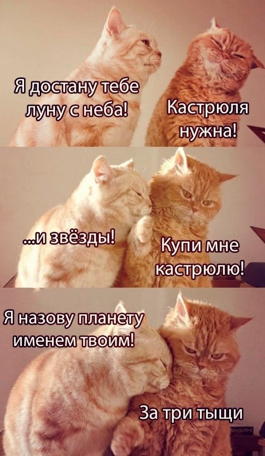 Чіёк Яра _ ё тз ар А Яшхащ