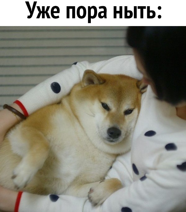Уже пора ныть