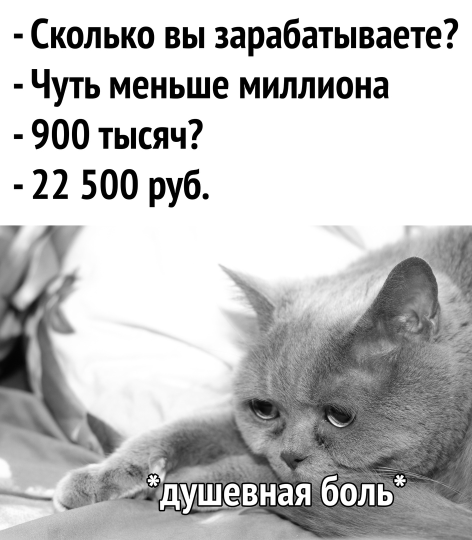 Сколько вы зарабатываете Чуть меньше миллиона 900 тысяч 22 500 руб дкущевнагболг