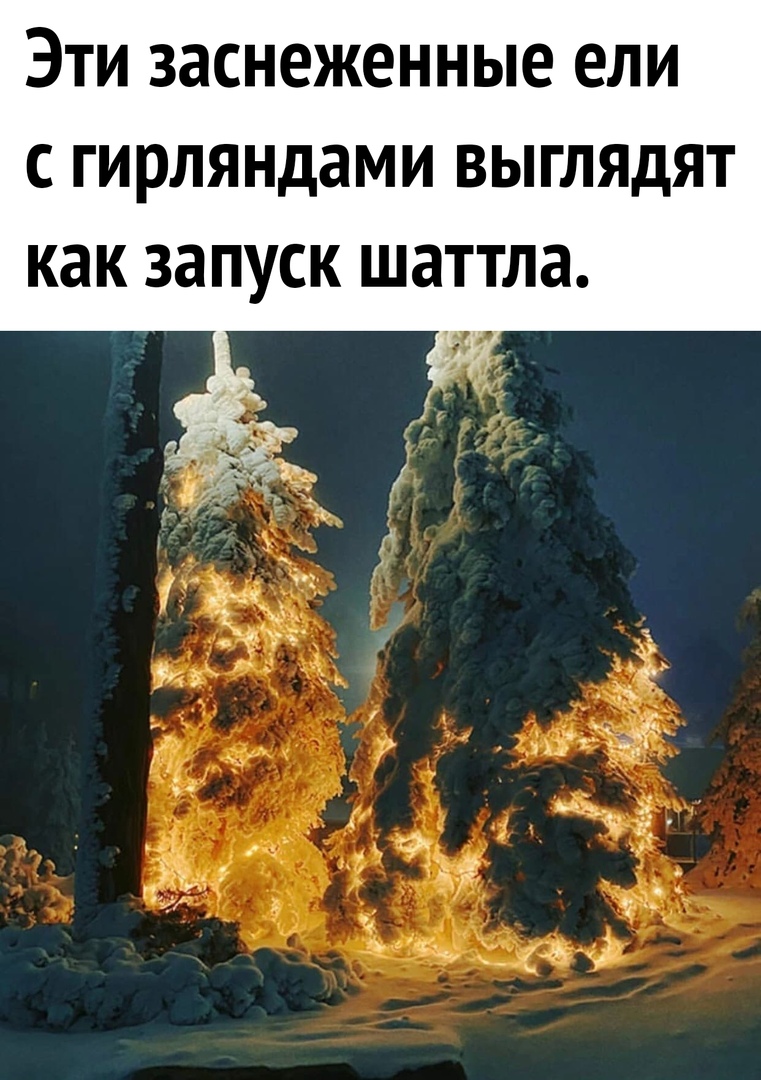 Эти заснеженные ели с гирляндами ВЫГЛЯдЯТ как запуск шаттла