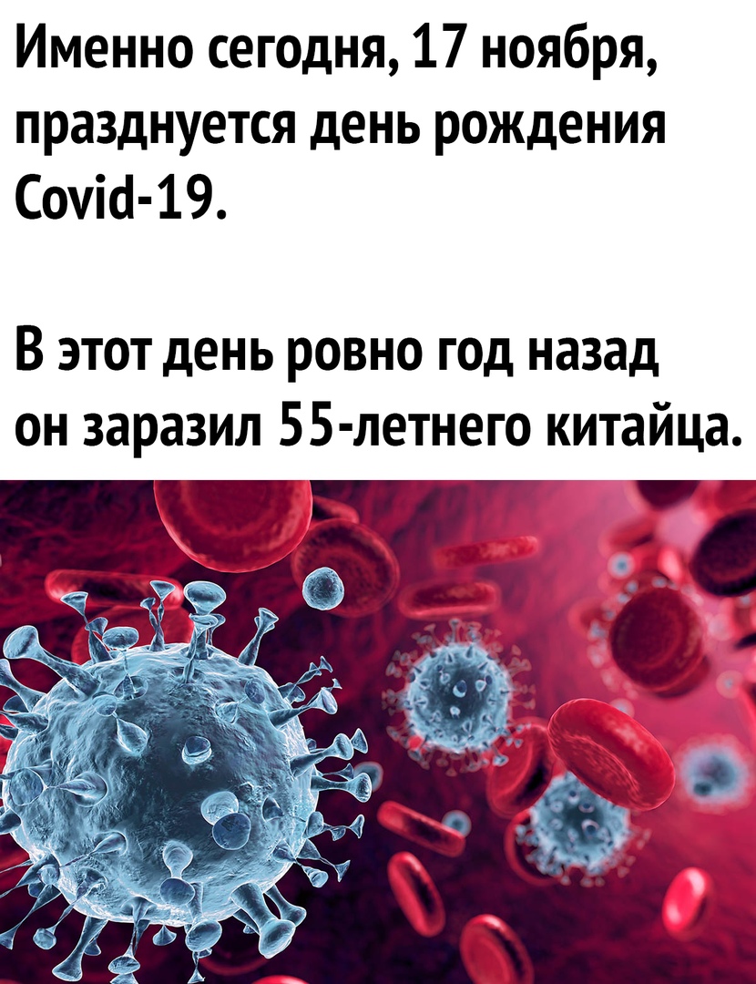 Именно сегодня 17 ноября празднуется день рождения Сошо 19 В этот день ровно год назад он заразил 55 летнего китайца