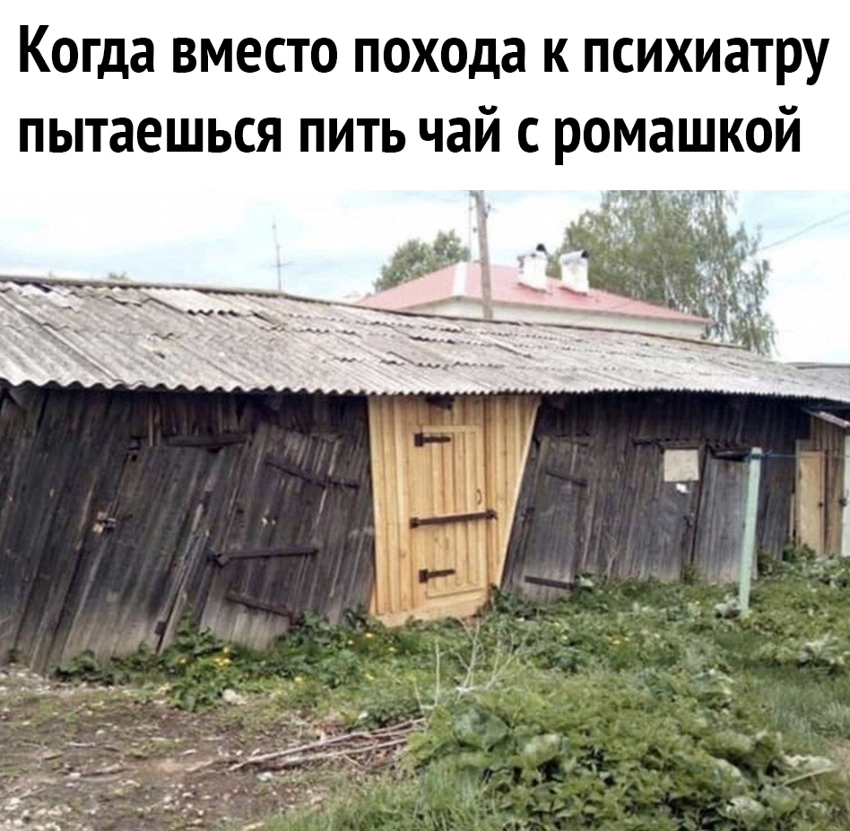 Когда вместо похода к психиатру пытаешься пить чай с ромашкой ____