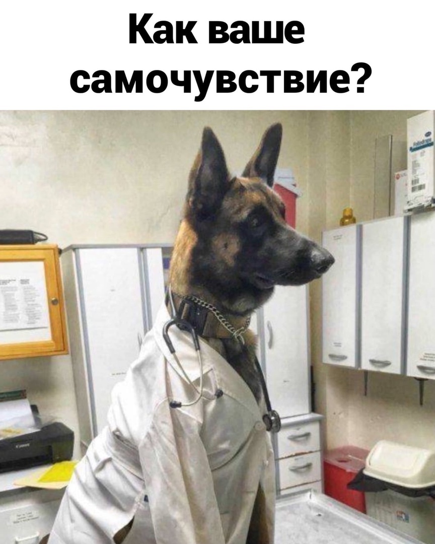 Как ваше самочувствие