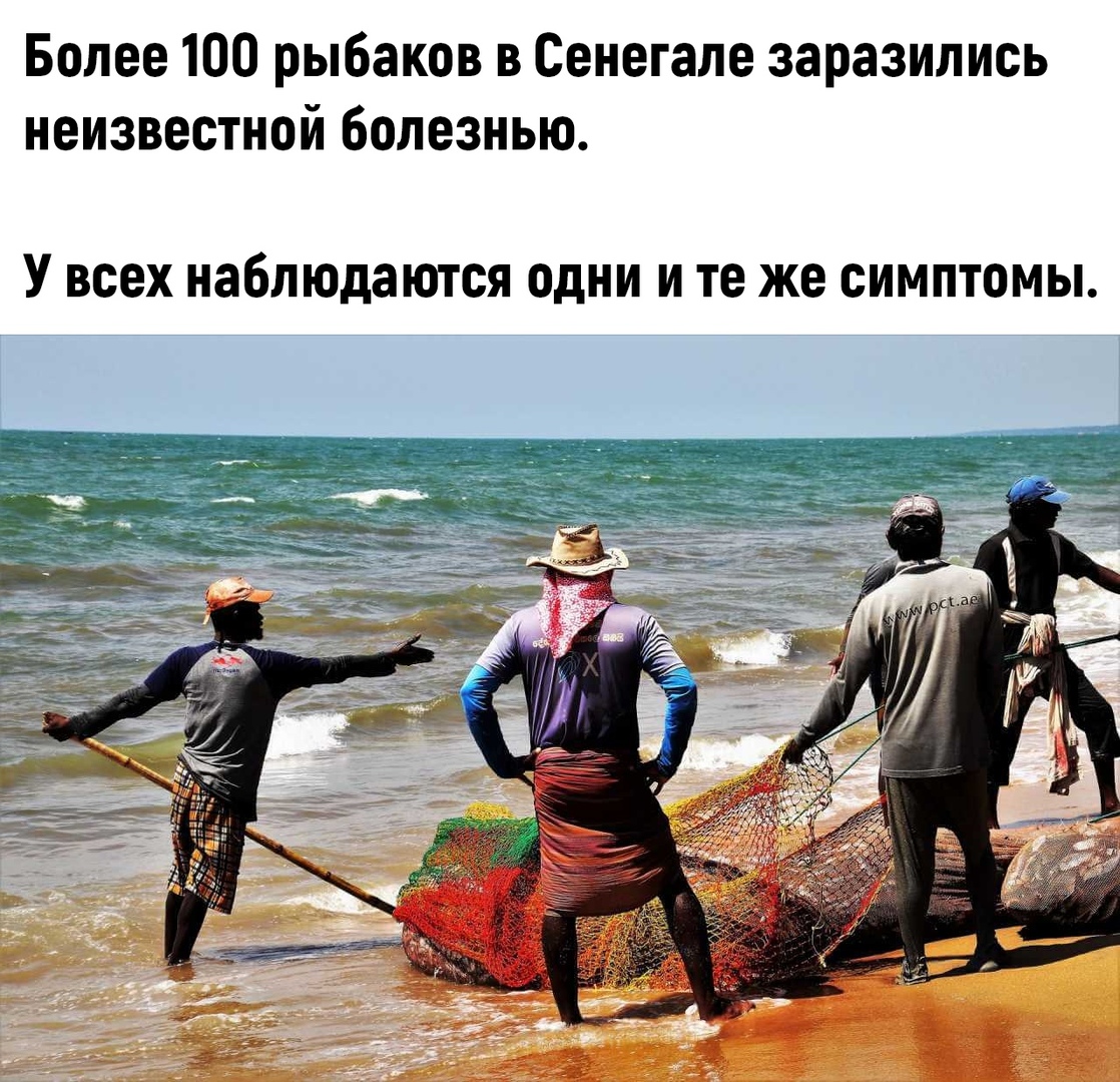 Более 100 рыбаков в Сенегале заразились неизвестной болезнью У всех наблюдаются одни и те же симптомы