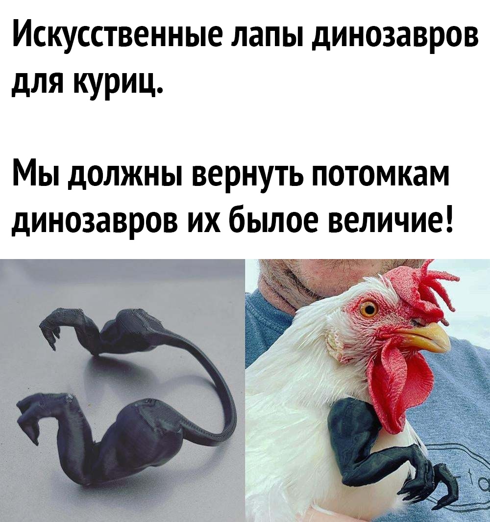 Искусственные лапы динозавров для куриц Мы должны вернуть потомкам динозавров их былое величие 25