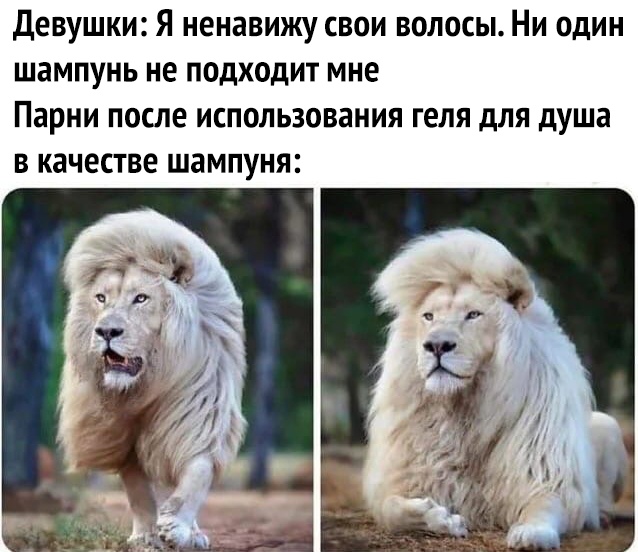 девушки Я ненавижу свои волосы Ни один шампунь не подходит мне Парни после использования геля для душа в качестве шампуня