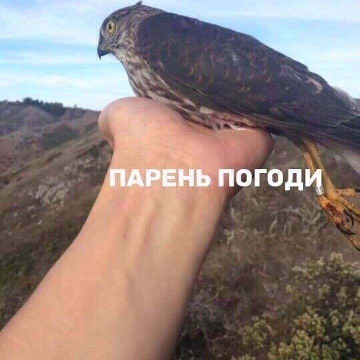 ПАРЕНЬ погоди