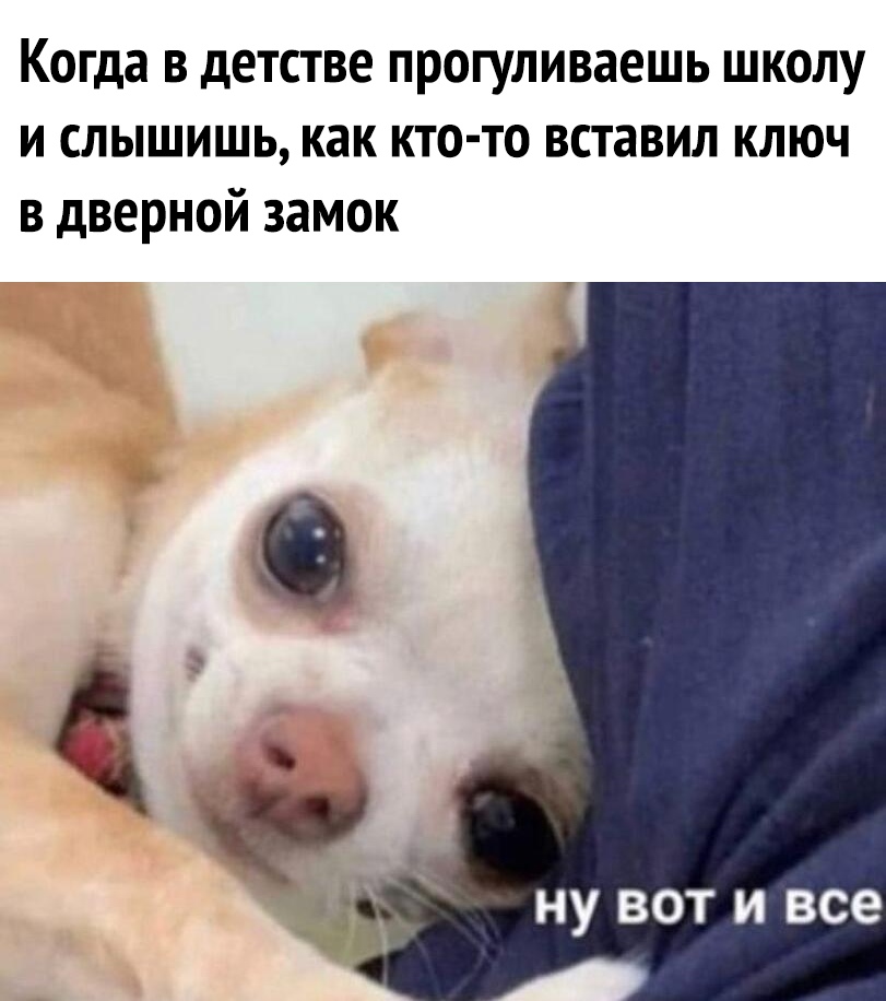 Когда в детстве прогуливаешь школу и слышишь как кто то вставил ключ в дверной замок НУ ВОТ И все