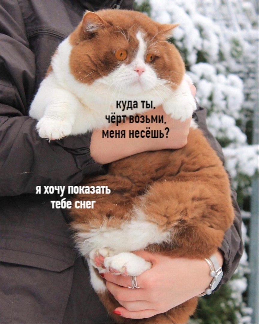 я хочу показіпь тебе снег