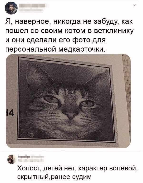 Я наверное никогда не забуду как пошел со своим котом в веткпинику И ОНИ сделали его фОТО дЛЯ персональной МЭДКЗРТОЧКИ Холост детей нет характер волевой скрытныйранее судим