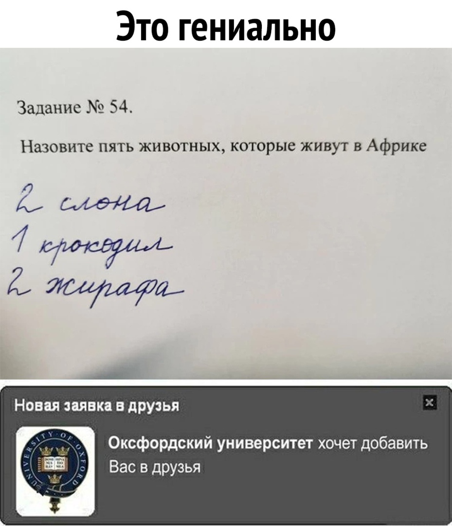 Это гениально Задание 54 Назовите пять животных которые живут в Африке Оксфордский университет хочет добавить Вас в друзья