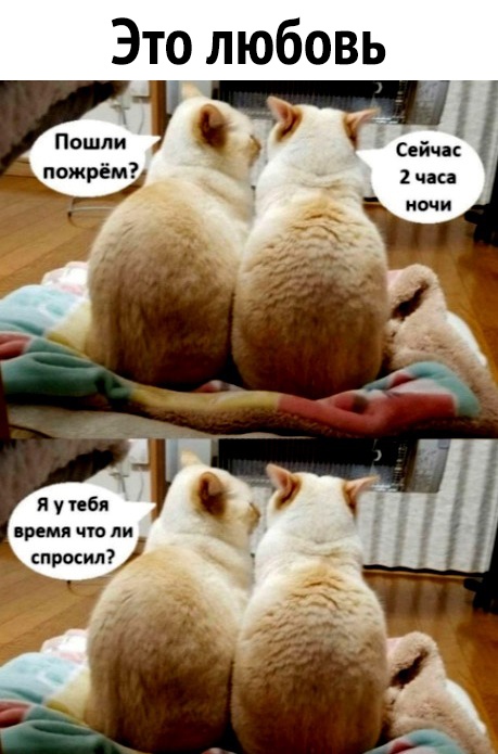 Это любовь я у тебя время что ли прмил
