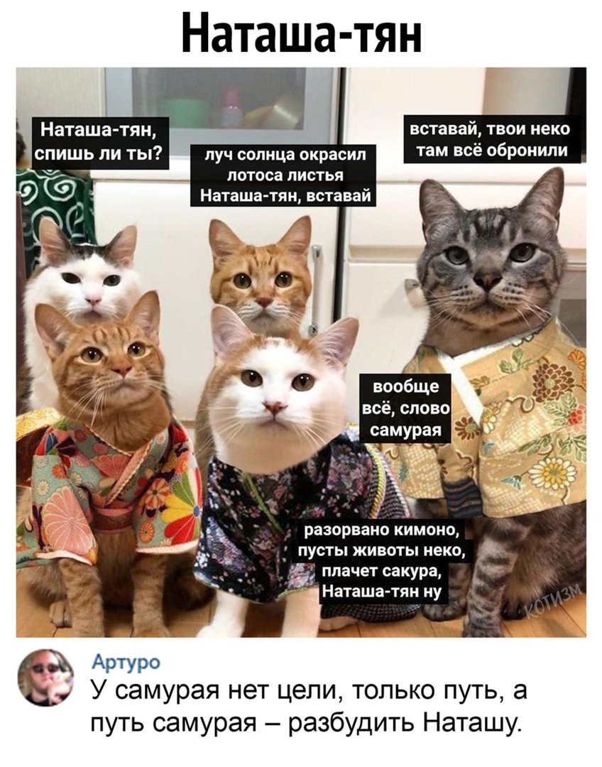 Наташа тян вставай ТВОИ неко там всё обронили Наташа тян спишь ли ты луч солнца окрасип лотоса листья Наташа тян вставай всё слово самурая разорвано кимоно пусты животы неко Артуро У самурая нет цепи только путь а путь самурая разбудить Наташу