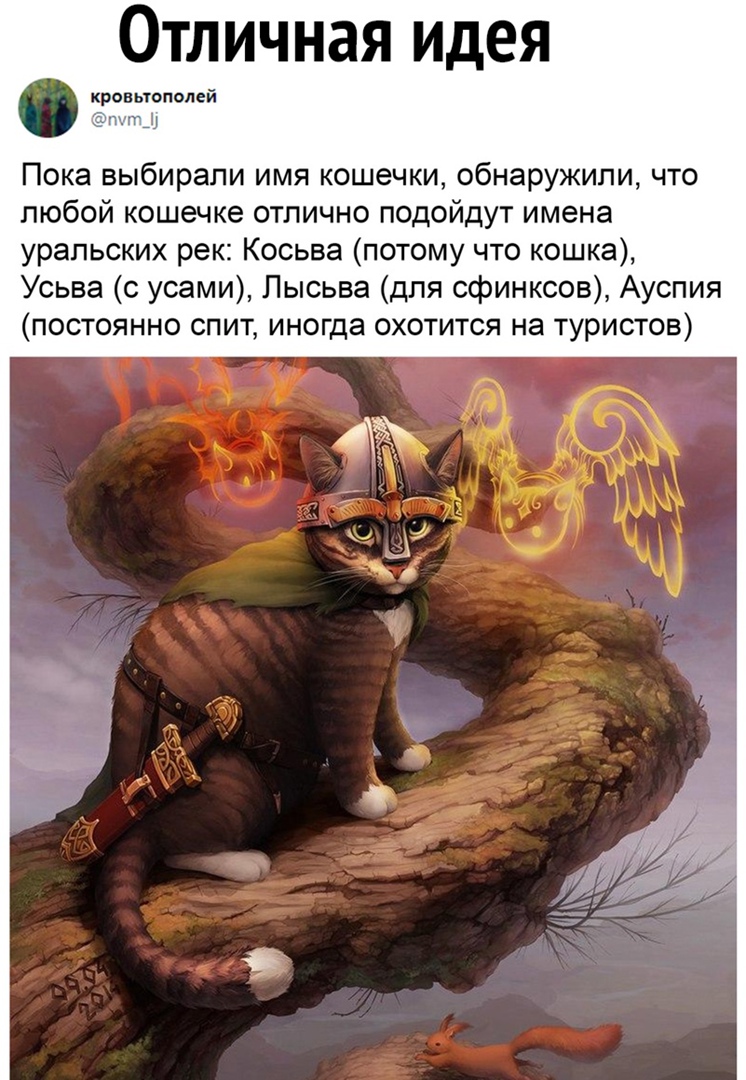 Отличная идея Пока выбирали имя кошечки обнаружили что любой кошечке отлично подойдут имена уральских рек Косьва потому что кошка Усьва с усами Лысьва для сфинксов Ауспия постоянно спит иногда охотится на туристов