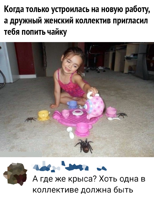Когда только устроилась на новую работу а дружный женский коллектив пригласил тебя попить чайку ш нд А где же крыса Хоть одна в коллективе должна быть