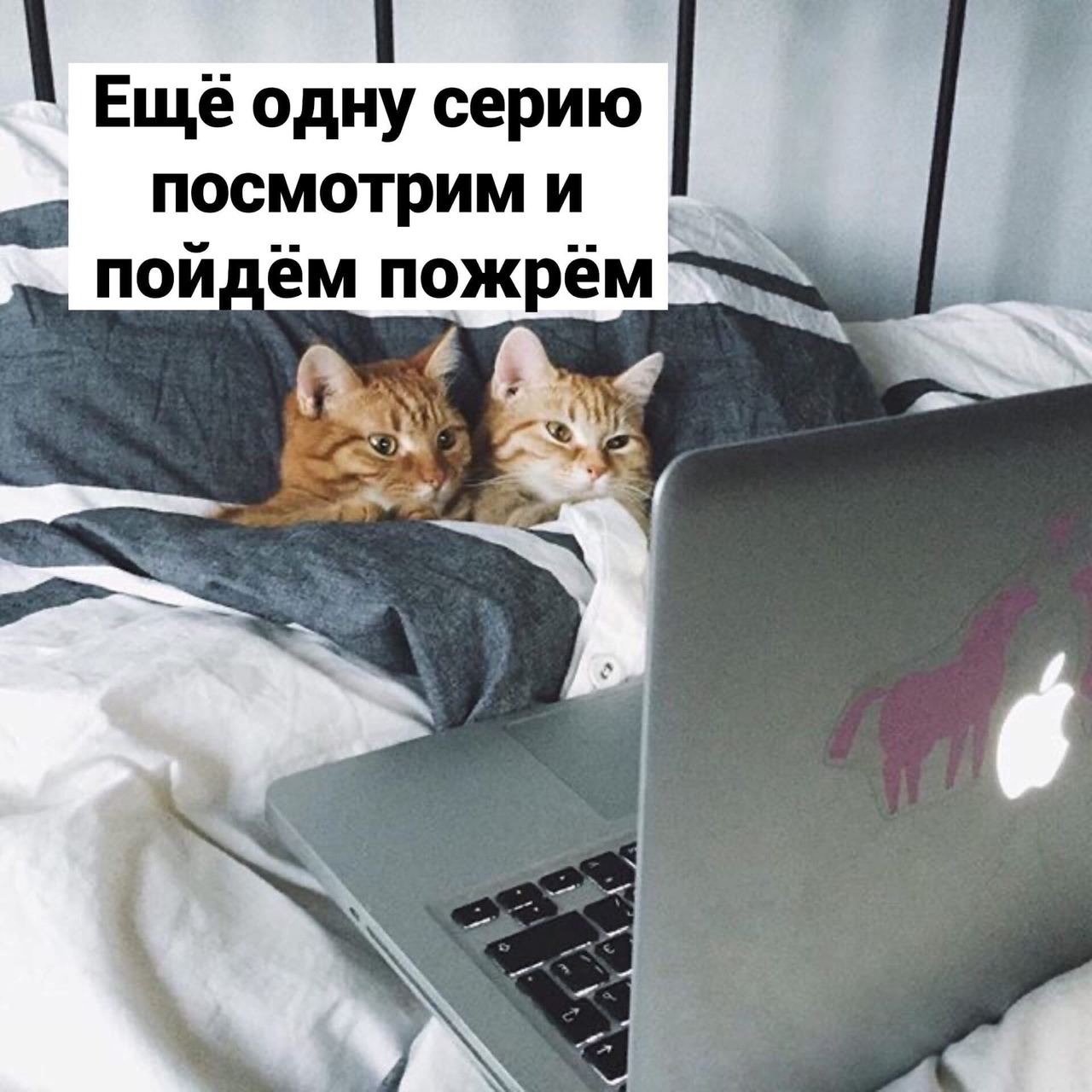 Ещё одну серию посмотрим и пой ём пожрём
