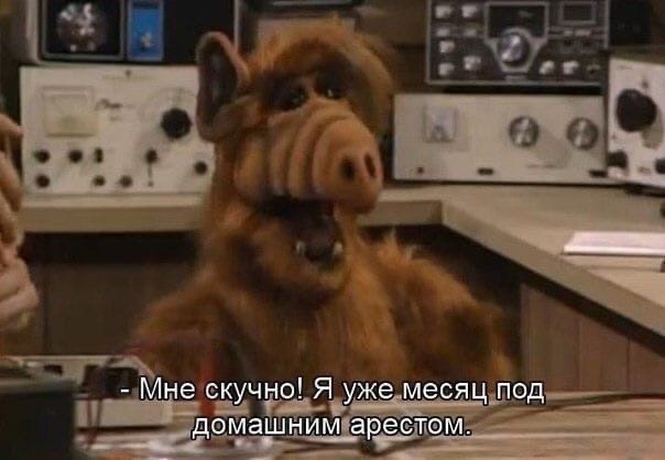 в Ц 1452 Щ е екучно Я уже месяц под_ чЁЁ г д __