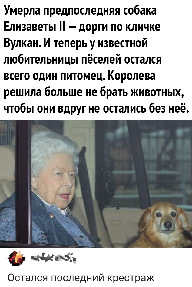 Умерла предпоследняя собака Елизаветы дорги по кличке Вулкан И теперь у известной любительницы пёселей остался всего один питомец Королева решила больше не брать животных чтобы они вдруг не остались без неё Остался последний крестраж