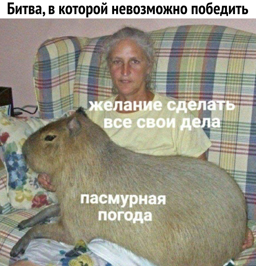 бедить о п 0 н Ж о М 3 о В Н Ип о р о Т о К_ В Битва