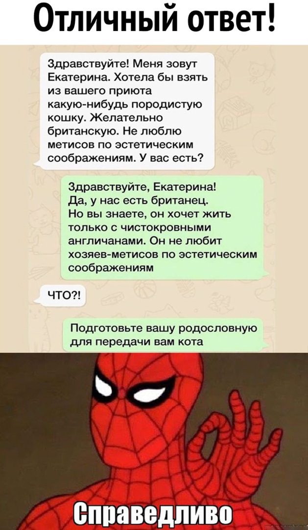 Отличный ответ Здравствуйте Меня зовут Екатерина Хотела бы взять из вашего приюта какую нибудь породистую кошку Желательно британскую Не люблю метисов по эстетическим соображениям У вас есть Здравствуйте Екатерина да у нас есть британец Но вы знаете он хочет жить только чистокровными англичанами Он не любит хозяев метисов по эстетическим соображениям ЧТО Подготовьте вашу родословную для передачи в