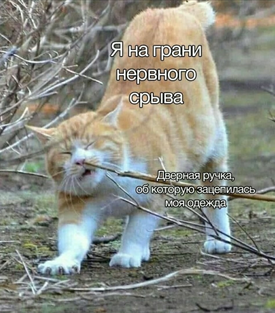 Двёрна ручка бЙбоЁацепиласр