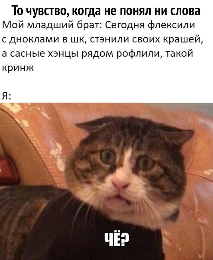 ТО ЧУВСТВО когда не ПОНЯЛ НИ СЛОВЗ Мой младший брат Сегодня флексили с дноклами Б шк стэнили своих крашей а сасные хэнцы рядом рофлили такой кринж