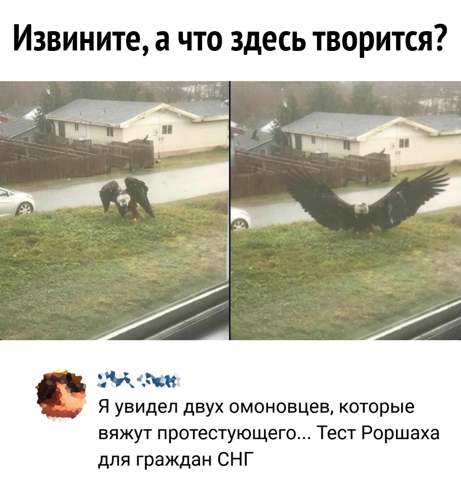 Извините а что здесь творится диам Я увидел двух ОМОНОВЦ6В которые вяжут протестующего Тест Роршаха для граждан СНГ