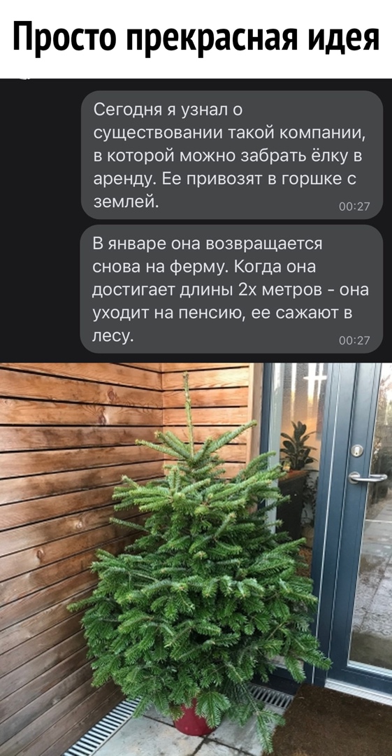 Просто прекрасная идея Сегодня я узнал о существовании такой компании в которой можно забрать ёлку в аренду Ее привозят в горшке землей 27 В январе она возвращается снова на Ферму Когда она достигает длины 2х метров она уходит на пенсию ее сажают в песУ 0027 ПМГ И