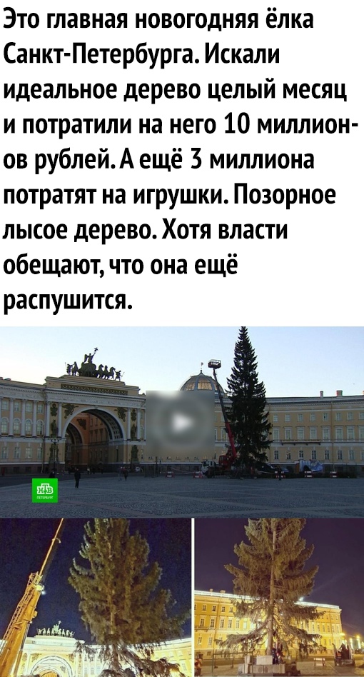 Это главная новогодняя ёлка Санкт Петербурга Искали идеальное дерево целый месяц и потратили на него 10 миллион ов рублейАещё 3 миллиона потратят на игрушки Позорное лысое дерево Хотя власти обещают что она ещё распушится