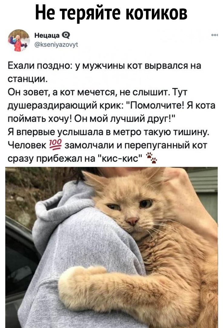 Не теряйте котиков Нецацаэ во Кзепіуаиоуут ЕХЭЛИ ПОЗДНОС У МУЖЧИНЫ КОТ ВЫРВЭЛСЯ на станции Он зовет а кот мечется не слышит Тут душераздирающий крик Помолчите Я кота поймать хочу Он мой лучший друг Я впервые услышала в метро такую тишину Человек 729 замолчали и перепуганный кот сразу прибежал на кискис