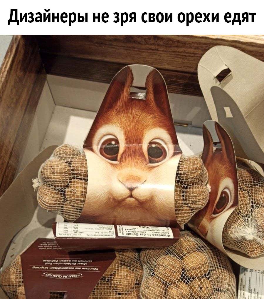 Дизайнеры не зря свои орехи едят ити п тм а