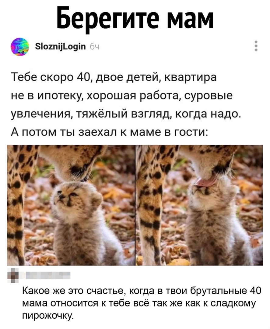 Берегите мам о2пііоуіп Тебе скоро 40 двое детей квартира не в ипотеку хорошая работа суровые увлечения тяжёлый взгляд когда надо А потом ты заехал к маме в гости Какое же это счастье когда в твои брутальные 40 мама относится к тебе всё так же как к сладкому пирожочку