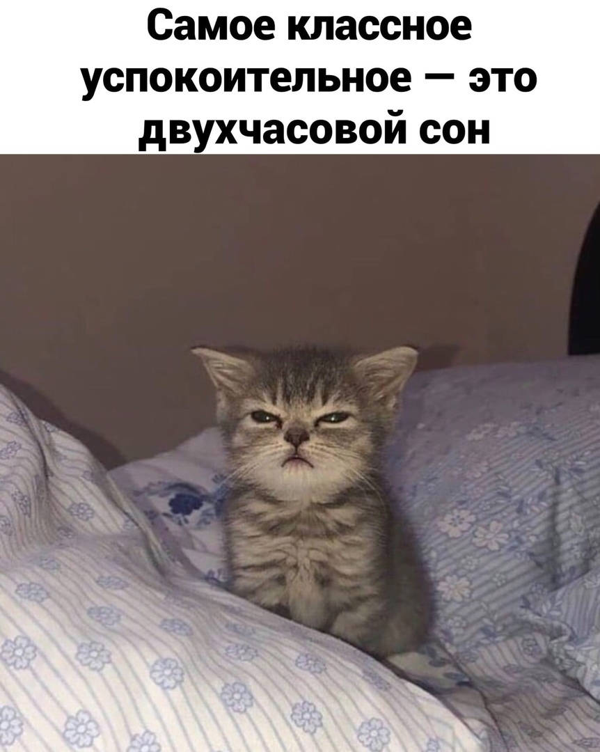 Самое классное успокоительное это двухчасовой сон