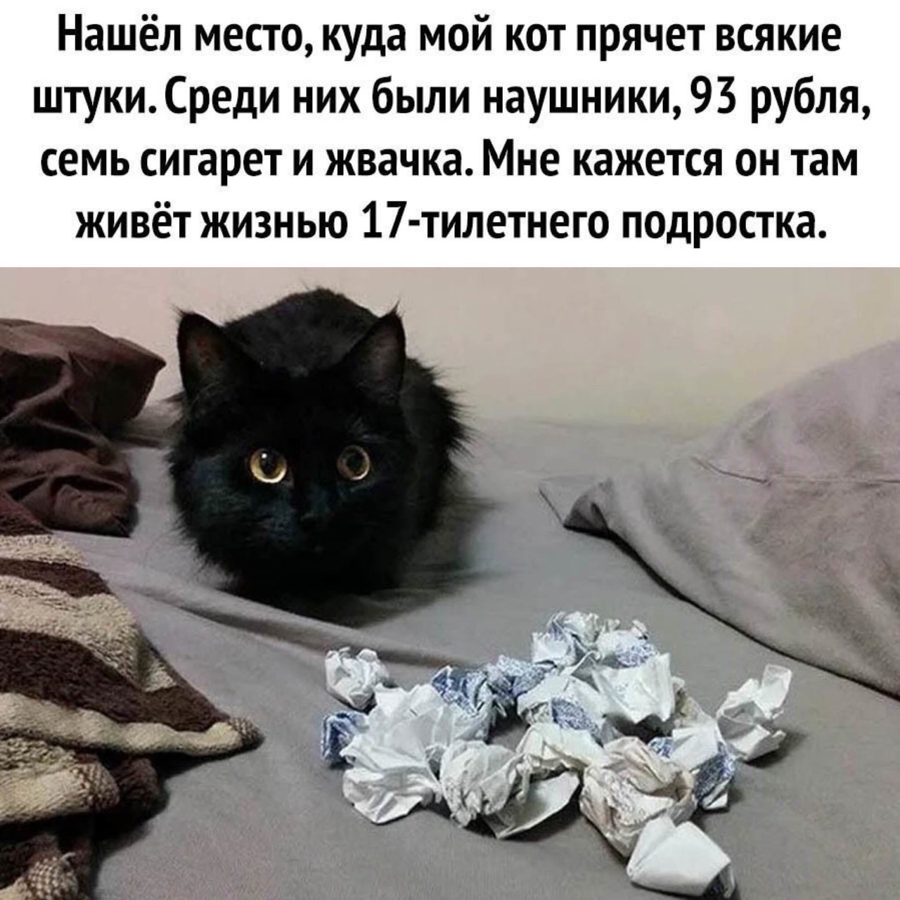 Нашёл место куда мой кот прячет всякие штукиСреди них были наушники 93 рубля семь сигарет и жвачка Мне кажется он там живёт жизнью 17 тилетнего псдростка
