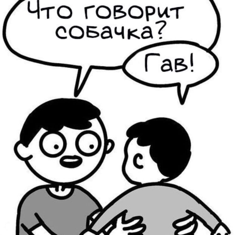 Что говорит соваЧка