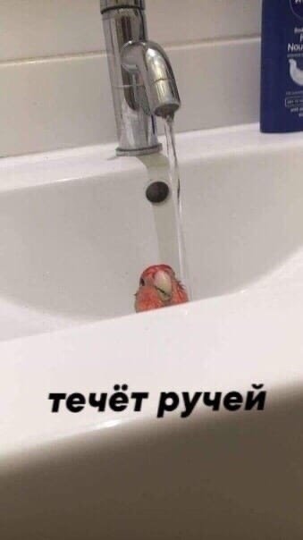 течёт р