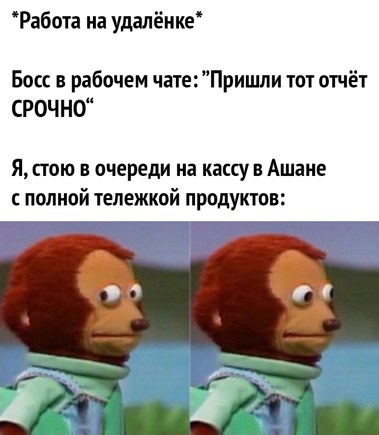 Работа на удалёнке Босс в рабочем чате Пришли тот отчёт СРОЧНО Я стою в очереди на кассу в Ашане с полной тележкой продуктов