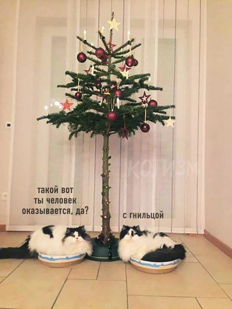 такой вот ты человек оказывается да