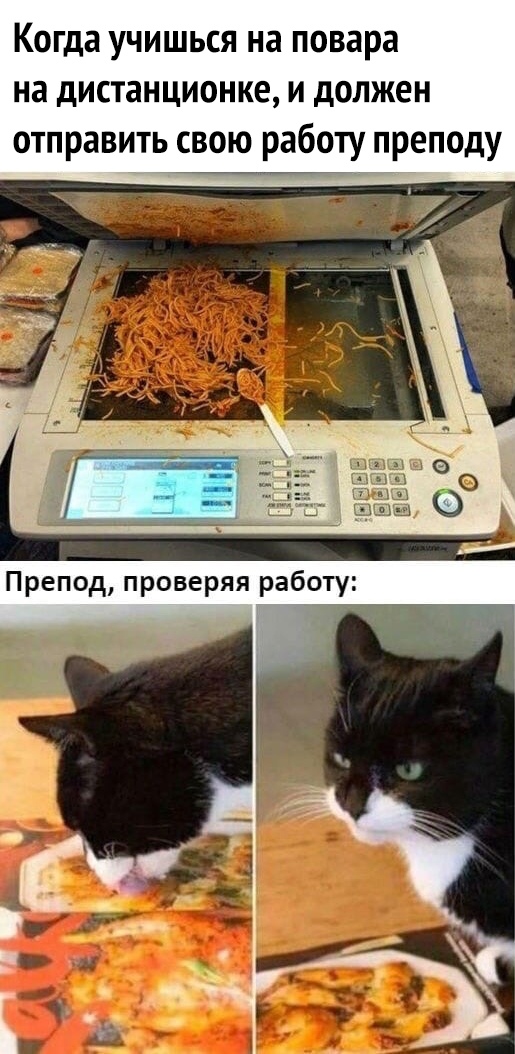 Когда учишься на повара на дистанционке и должен отправить свою работу преподу